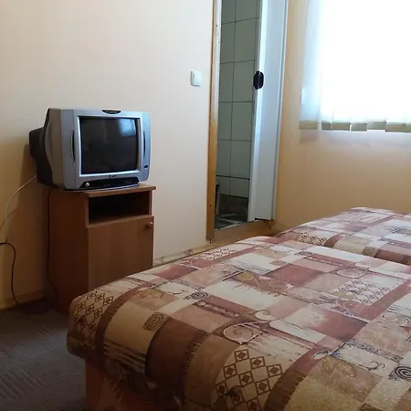 Gostynnytsya *