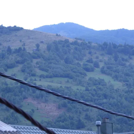 Gostynnytsya 라키브